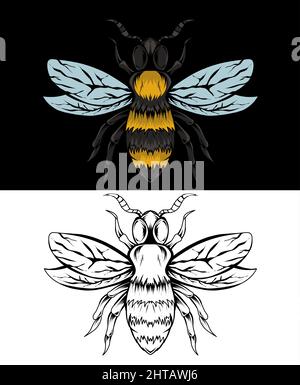Illustrazione vettore ape insetto con colore e bianco e nero Illustrazione Vettoriale