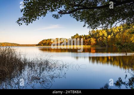 Splendida vista su un lago vicino alla foresta Foto Stock