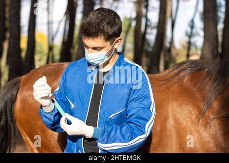 Primo piano di un veterinario in uniforme preparazione di un vaccino Foto Stock