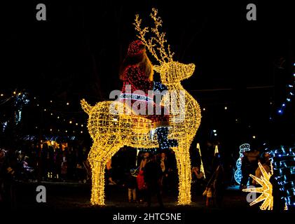 Decorazioni natalizie nel parco cittadino di Constanta in Romania Foto Stock