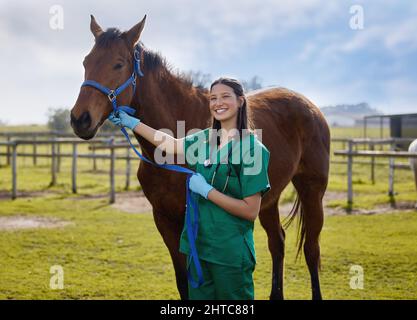 Buoni veterinari parlano con gli animali. Shot di un giovane veterinario che mette un bendaggio su un cavallo in una fattoria. Foto Stock