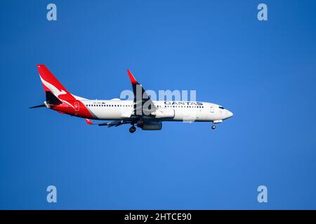 Qantas Boeing 737 arrivo a Sydney Foto Stock