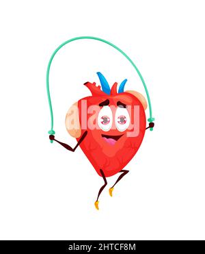 Cartone animato personaggio cuore umano personaggio corda salto. Vettore organo interno sportivo facendo esercizi di fitness, anatomia scientifica per l'educazione dei bambini, medicina cardiologica, assistenza sanitaria e sport Illustrazione Vettoriale