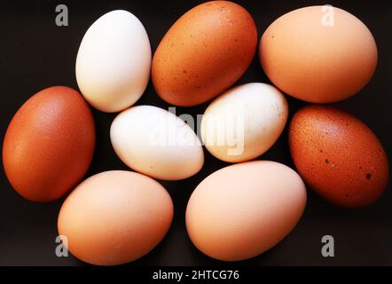 Shot di uova di tre varietà di galline su sfondo ardesia Foto Stock