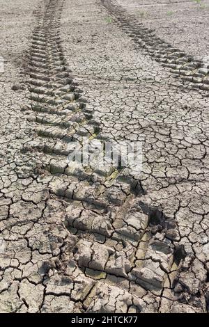 Il trattore passa attraverso terra secca e fessurata, campo asciutto in un'azienda agricola del Regno Unito durante una siccità in estate Foto Stock