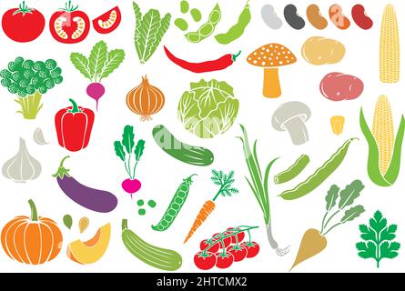 Set di icone vegetali (collezione vettoriale) Illustrazione Vettoriale