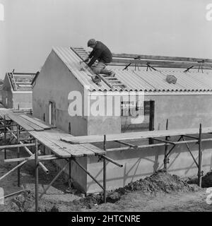 RAF Gaydon, Gaydon, Stratford-on-Avon, Warwickshire, 11/03/1953. Un uomo che monta pannelli di copertura ondulati sul tetto di un edificio di recente costruzione a Gaydon Airfield. I lavori iniziarono alla costruzione di una nuova pista a Gaydon Airfield all'inizio del 1952. A ciò seguì un secondo contratto per la costruzione di oltre 100 edifici Easiform e Air Ministry e 23 capanne Nissen. Foto Stock