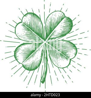 Trifoglio a quattro foglie - illustrazione vettoriale vintage incisa (disegno a mano) Illustrazione Vettoriale