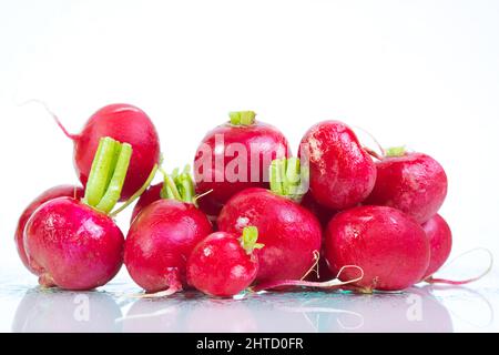 Fresche ravanelli su sfondo bianco Foto Stock