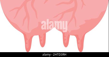 Illustrazione del vettore mammelle di mucca Illustrazione Vettoriale