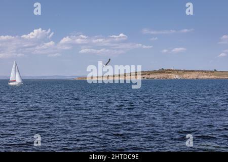 Isola di Saint Ivan vista dalla storica città balneare di Sozopol nella provincia di Burgas sulla costa meridionale del Mar Nero in Bulgaria Foto Stock