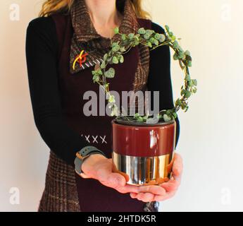 Una femmina che tiene una stringa di cuori houseplant (Ceropegia woodii) - pianta trainata che è stata addestrata a crescere intorno ad un anello di filo. Spazio di copia Foto Stock