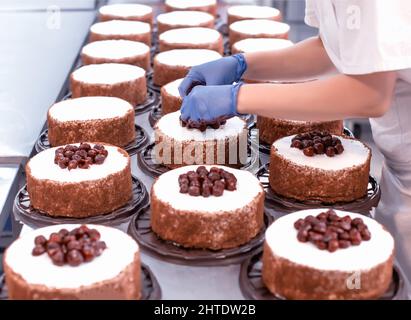 Pasticciere ragazza chef fa una torta di frutti di bosco freschi biscotto e crema. Produzione in serie di torte e dolci, pasticceria Foto Stock