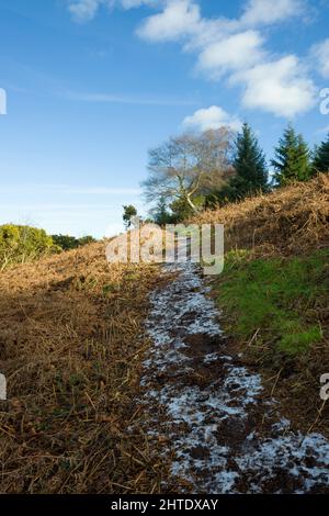 Un sentiero con una leggera spolveratura di neve sul lato di una collina ai margini del Parco Nazionale Exmoor in inverno vicino a Ellicombe, Minehead, Somerset, Inghilterra. Foto Stock