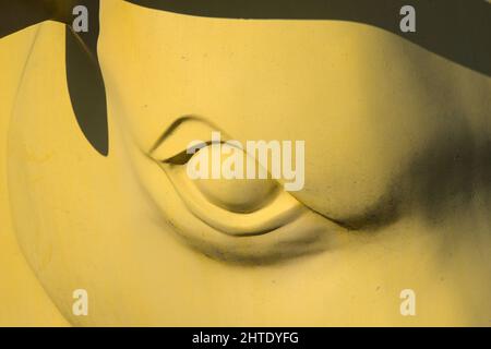 Saulheim, Germania, 27 febbraio 2022. Occhio di tori scolpito dipinto di giallo Foto Stock