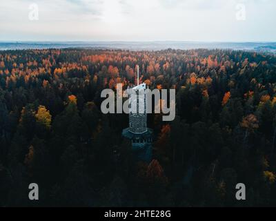 Antenna di una torre tra alberi di pino fogliame nel parco nazionale Aulanko, Finlandia Foto Stock