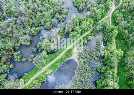 vista aerea dall'alto dei sentieri che attraversano le zone umide. paesaggio paludoso estivo. Foto Stock