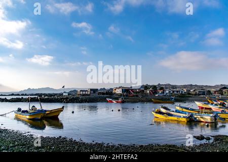 Barche gialle nella baia dei pescatori a Chañaral de Aceituno, nel nord del Cile Foto Stock