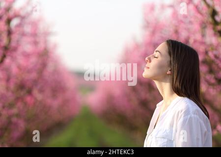 Vista laterale ritratto di una donna soddisfatta respirando aria fresca in un bel campo rosa Foto Stock