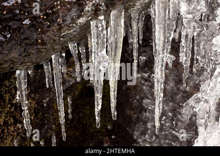 Primo piano di Icicle su sfondo scuro. Ghiaccio, acqua congelata. Foto Stock