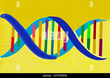 Illustrazione colorata della struttura del DNA Foto Stock
