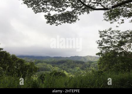 Una vasta distesa di foresta pluviale nella Riserva della Foresta di Lihue-Koloa a Kaaa'a, Kauai, Hawaii, USA, con montagne che si innalzano in lontananza su un nuvoloso, overc Foto Stock