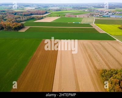 Vista aerea di un pascoli e di un terreno arabile. Panorama su colture verdi sane in pascoli pascoli patchwork Foto Stock