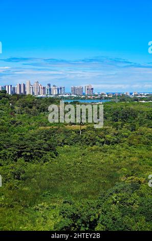 Skyline di barra da Tijuca, Rio Foto Stock