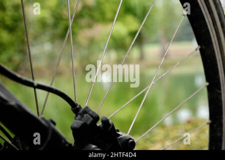 Cerchi per biciclette e foto botanica sfocata laghetto, dettagli di cerchi per biciclette e ruota Foto Stock