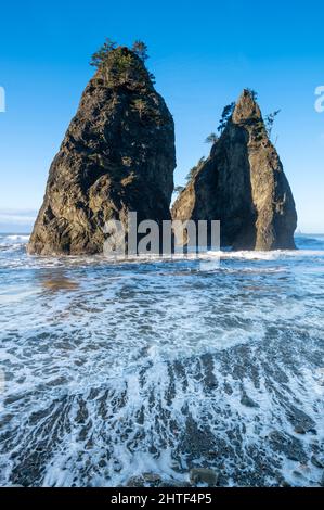 Sea Stacks sulla costa del Parco Nazionale Olimpico Foto Stock