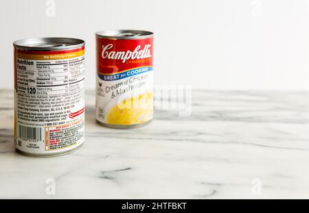 Scatola di Campbells crema di pollo e zuppa di funghi con fatti nutrizionali e ingredienti Foto Stock