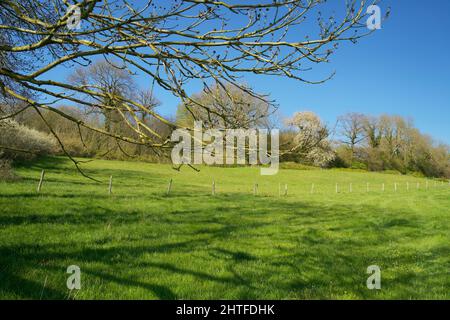 Le colline del Limburgo all'inizio della primavera Foto Stock