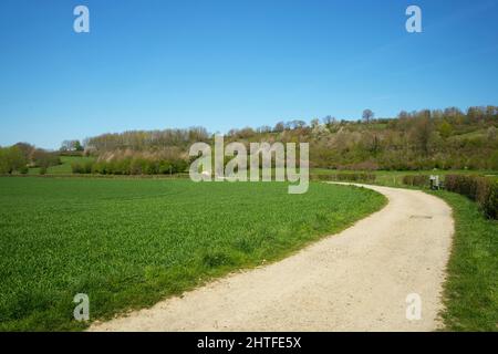 Le colline del Limburgo all'inizio della primavera Foto Stock