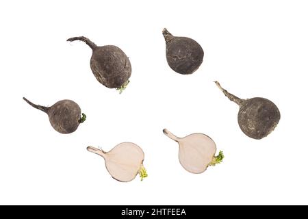 Radice di rafano nero isolata intera e in pezzi Foto Stock