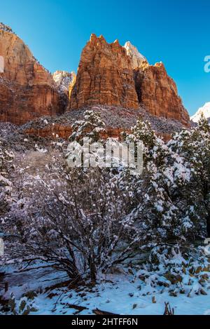 Massicce formazioni di roccia rossa nel Parco Nazionale di Zions, vista verticale. Vento, acqua e tempo crearono lo spettacolare scenario del parco. Foto Stock