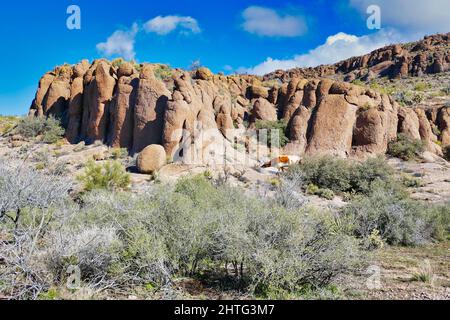 Lone longhorn mucca cercando di trovare qualcosa da mangiare ai piedi di rocce erose nel deserto secco Mojave, vicino a Kingman, Arizona, Stati Uniti. Foto Stock