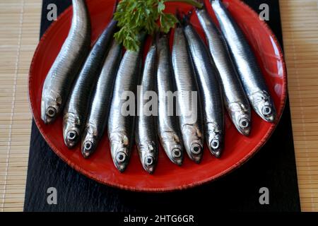 Pesce fresco di mare crudo sardine sul piatto, preparato per cucinare e fare un pasto