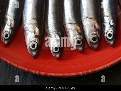 Piccole acciughe di pesce di mare testa da vicino. Acciughe sul piatto sullo sfondo della lavagna nera con spazio per la copia Foto Stock