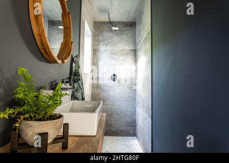 Impianto in vaso da lavandino con doccia in background in bagno a casa, spazio copia Foto Stock