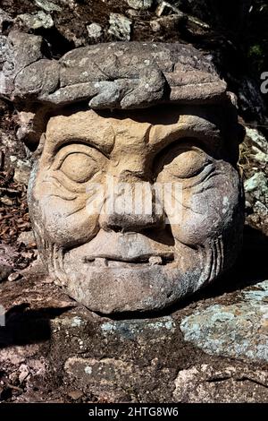 Il Capo dell'antico uomo, Copan Ruinas, Honduras Foto Stock