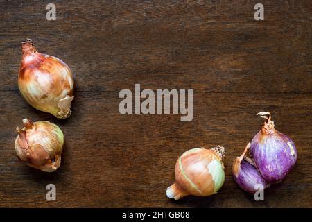 Scalogni marrone e viola, cipolline Allium CEPA, su tavola rustica Foto Stock