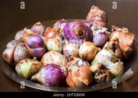 Mucchio di scalogni bruno e viola, cipolle Allium CEPA e cipolle brune Foto Stock