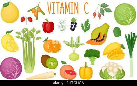 Set di fonti di vitamina C. Cibo sano. Raccolta di verdure e frutta arricchita di vitamina C. illustrazione vettoriale Illustrazione Vettoriale