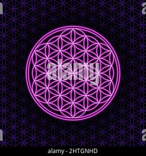 Fiore bianco della vita, con bordi luminosi viola, su un motivo senza giunture, fatto di cerchi sovrapposti, e uno sfondo nero. Foto Stock