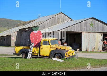 The Berry Farm, Davenport CA Foto Stock