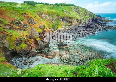 Bel, chiaro, bel tempo estivo soleggiato, su scogliere ricoperte di fiori erbosi, mare calmo, costa drammatica, il punto più meridionale della terraferma britannica.A po Foto Stock