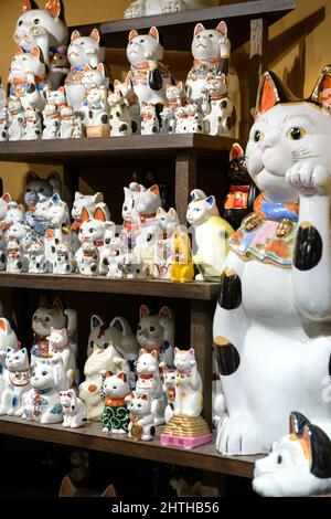 Maneki neko Museum a Seto City, Giappone. L'eckoning Cat Museum mostra al coperto. Foto Stock