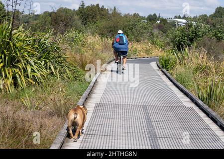 Tauranga Nuova zelanda- Marzo 1 2022; ciclista a cavallo seguita da cane a piedi e in bicicletta attraverso Matua Salt Marsh Tauranga Nuova Zelanda. Foto Stock