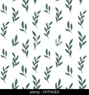 Rami con fogliame sempreverde e vettore foglie Illustrazione Vettoriale