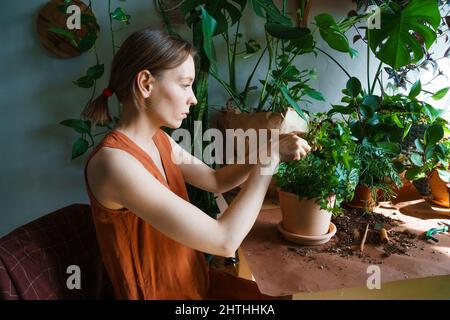 Donna giardiniere vestito arancione a casa trapiantando piante in vasi nuovi. Giardinaggio, piantagione di fiori e concetto di professione fiorista. Foto Stock